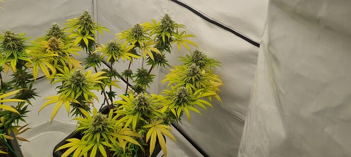Growreport Bild 8