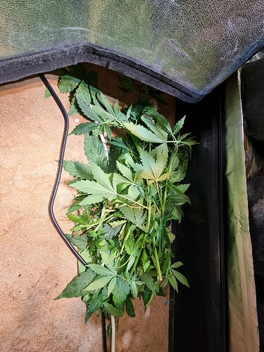 Growreport Bild 3