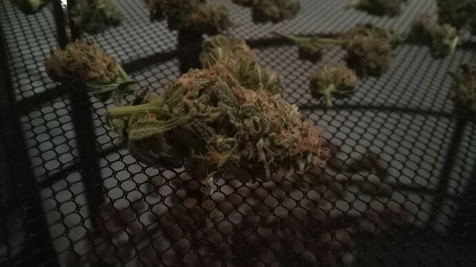 Growreport Bild 16