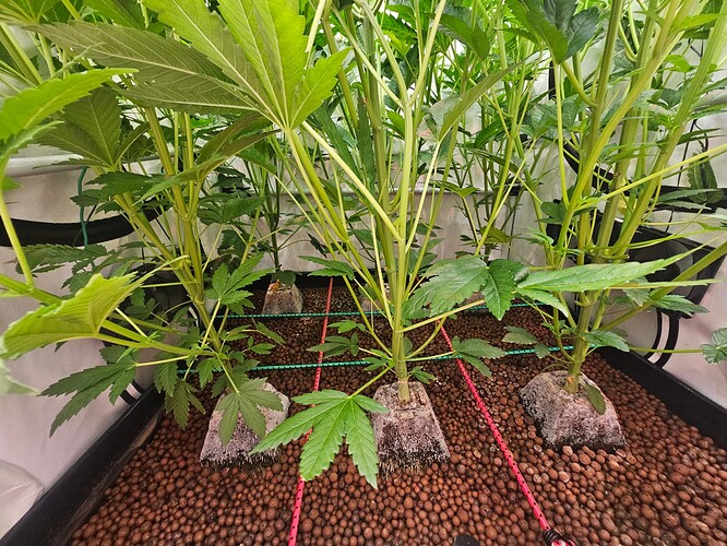 Growreport Bild 16