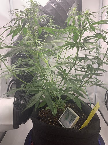 Growreport Bild 3