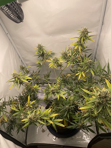 Growreport Bild 13