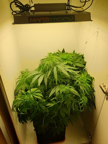 Growreport Bild 7