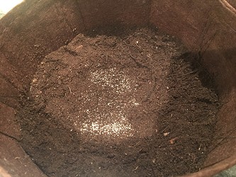 Growreport Bild 2