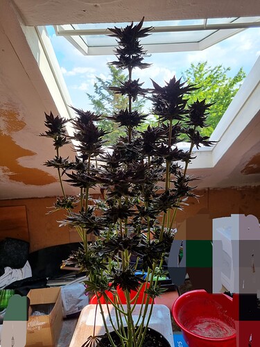 Growreport Bild 11