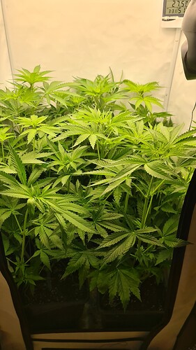 Growreport Bild 15
