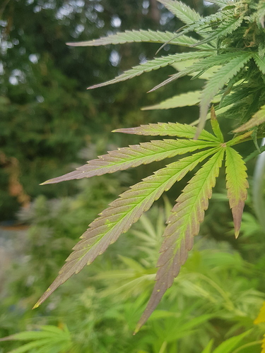 Growreport Bild 17