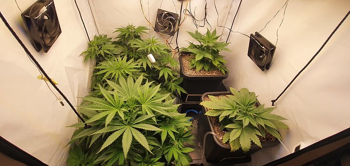 Growreport Bild 7