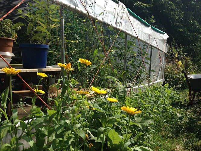 Growreport Bild 23