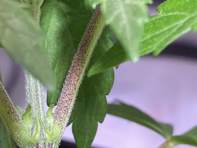 Growreport Bild 6