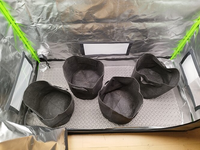 Growreport Bild 9