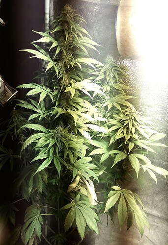 Growreport Bild 6