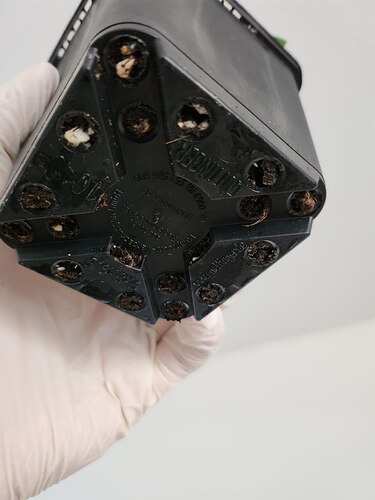 photo_2023-08-08_13-17-31