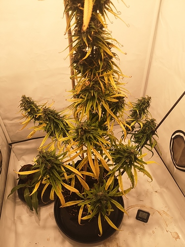 Growreport Bild 11