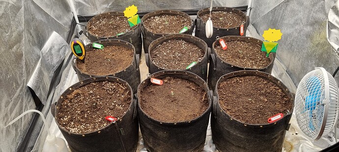 Growreport Bild 45
