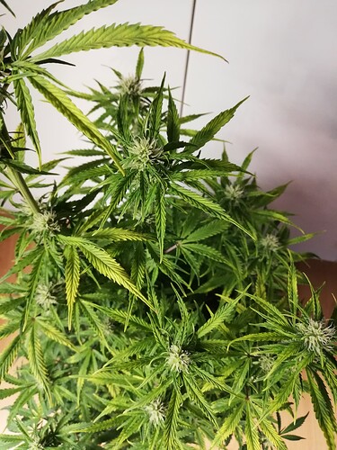 Growreport Bild 14