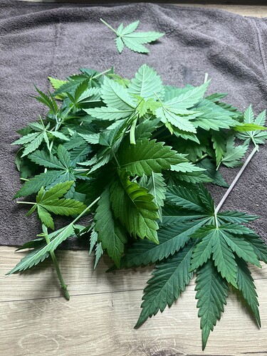 Growreport Bild 7