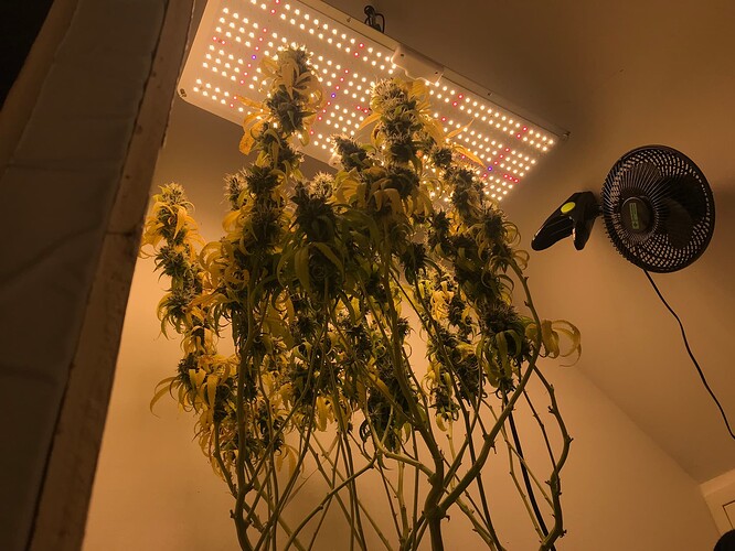 Growreport Bild 5