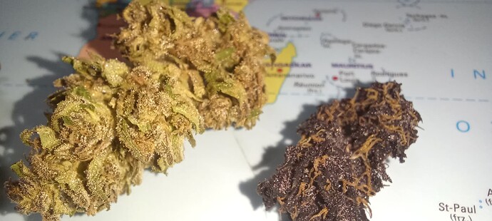 Growreport Bild 18