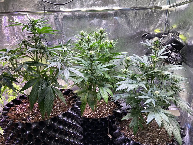 Growreport Bild 14