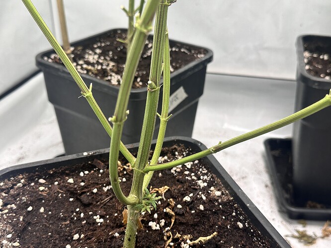 Growreport Bild 18