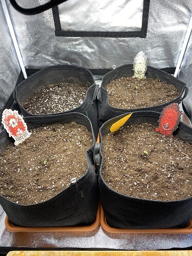 Growreport Bild 10