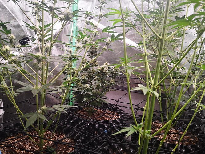 Growreport Bild 10
