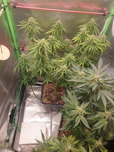 Growreport Bild 10