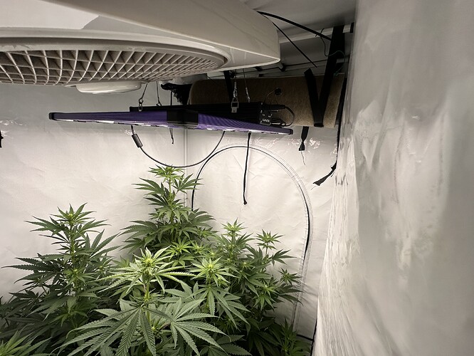 Growreport Bild 21