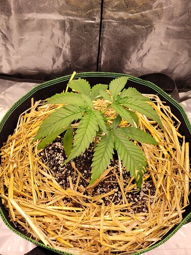 Growreport Bild 6