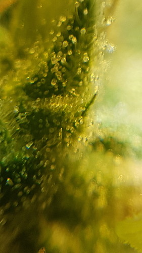 20210214_182139