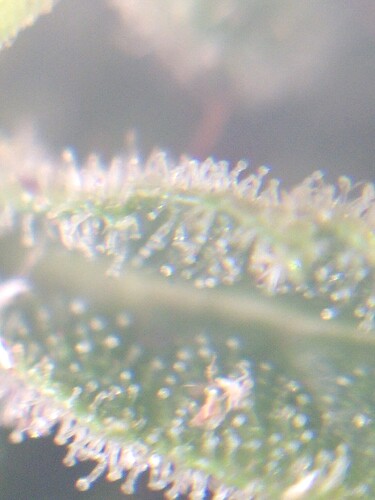 Growreport Bild 9