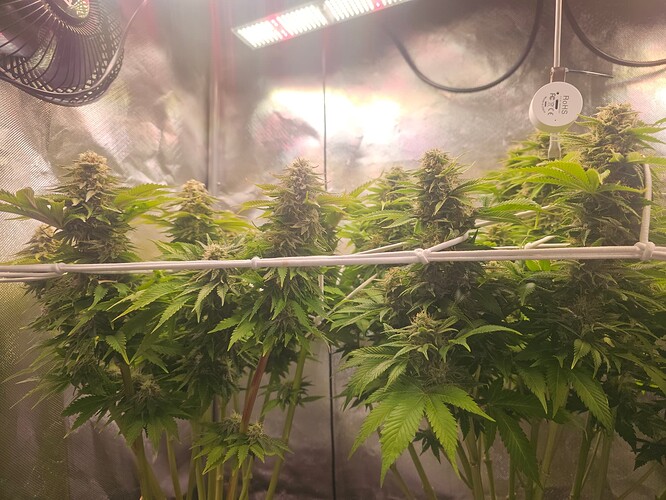 Growreport Bild 15