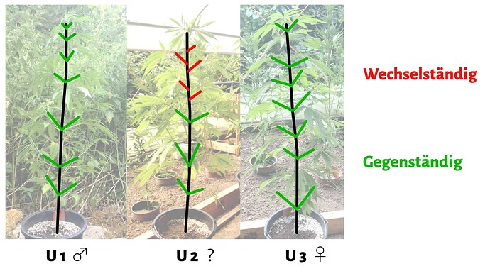 Growreport Bild 24