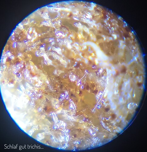 20230902_184237_HDR_(1)-01