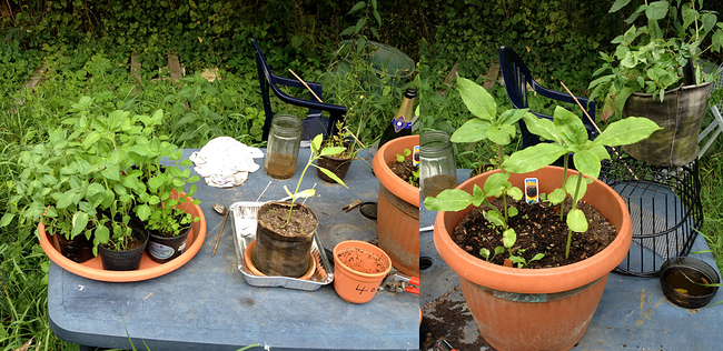 Growreport Bild 20