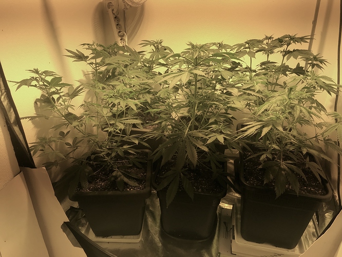 Growreport Bild 23