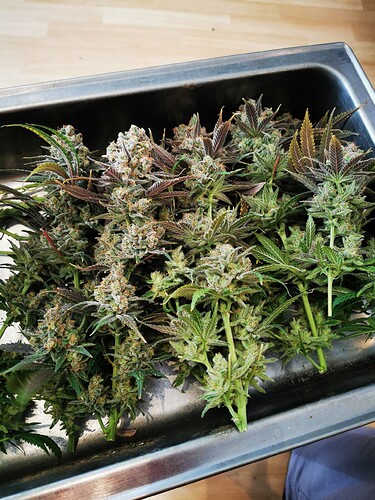Growreport Bild 10