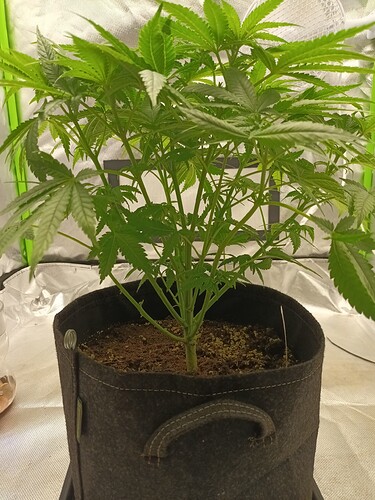 Growreport Bild 11