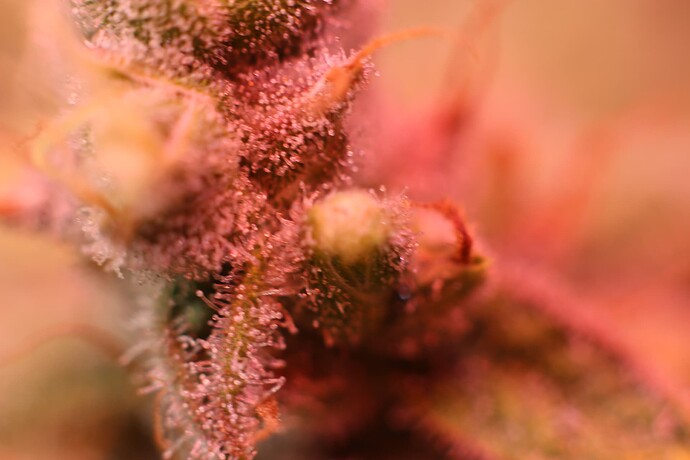 Growreport Bild 23