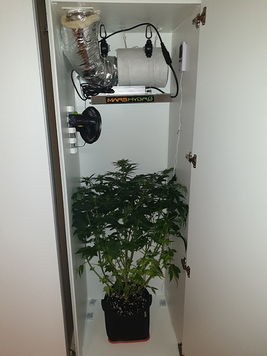 Growreport Bild 2