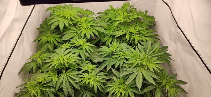 Growreport Bild 12