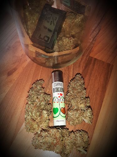 Growreport Bild 3