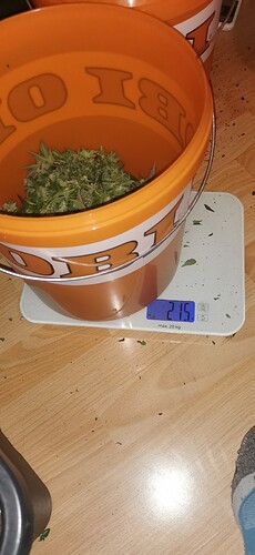 Growreport Bild 6