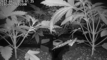 Grow ⛺ - 2022-06-03 16.01.26