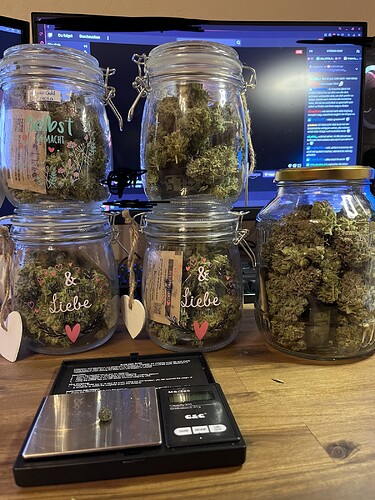 Growreport Bild 7