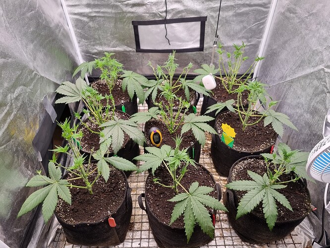 Growreport Bild 20