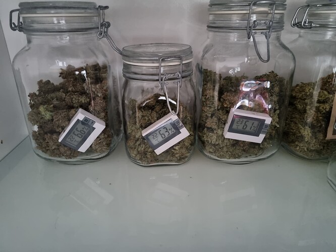 Growreport Bild 8