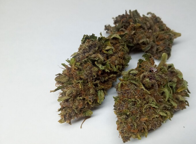 Growreport Bild 2
