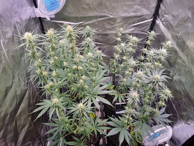 Growreport Bild 21